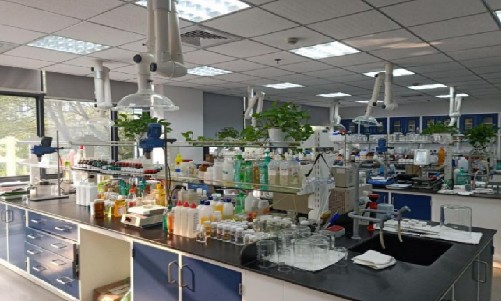 通過BCC知識產(chǎn)權管理體系認證